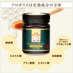 マヌカハニー with プロポリス 250g ...の詳細画像2