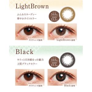 カラコン 2week 度あり 度なし 2ウィー...の詳細画像4