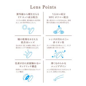 カラコン 2week 度あり 度なし 2ウィー...の詳細画像5