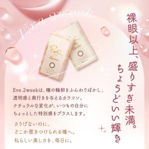新色登場!カラコン 2week 度あり 度なし...の詳細画像1