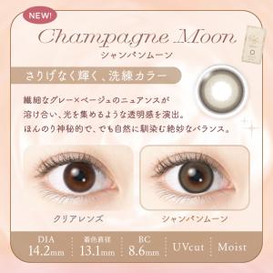 新色登場!カラコン 2week 度あり 度なし...の詳細画像4
