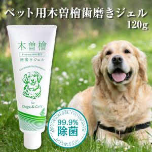 トーラス ボーダン 240ml 犬猫用オーラルケア PH12 のミネラル電解水