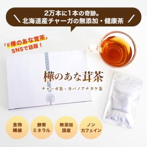 樺のあな茸茶(1g×30包)天然カバノアナタケ...の詳細画像1