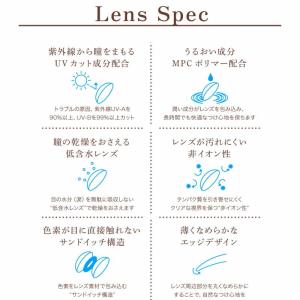 カラコン 2week 度あり 度なし ルースシ...の詳細画像4