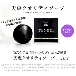 正規代理店 天恵クオリティソープ 80g プラ...の詳細画像1