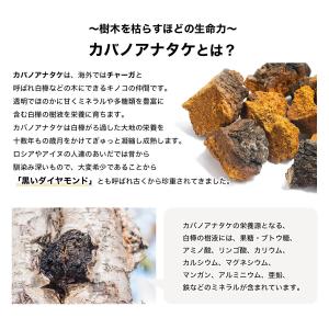正規代理店 天恵クオリティソープ 80g プラ...の詳細画像3