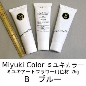 メール便可 コチニール・シルバー 25g 草木染め染料 草木染 染色