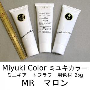 深雪フラワー　色材　11本まとめ売り メール便可 3735 白 25g ミユキカラー 染料 深雪アートフラワー ミユキ