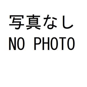 ★飯田深雪アートフラワー★コテ　テープ　筆　ワイヤー　ハサミetcお道具セット ☆飯田深雪アートフラワー☆コテ テープ 筆 ワイヤー ハサミetcお道具