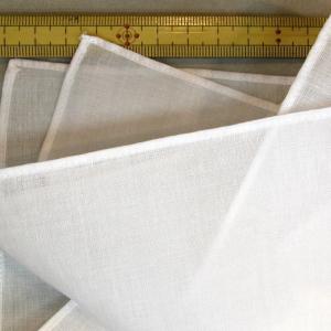 メール便可 コチニール・シルバー 25g 草木染め染料 草木染 染色