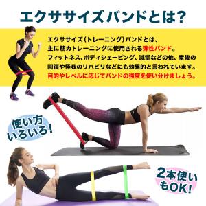 トレーニング チューブ 5本セット エクササイ...の詳細画像5