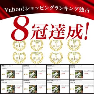 アウトレット 剪定 ばさみ 強力 はさみ ハサ...の詳細画像2