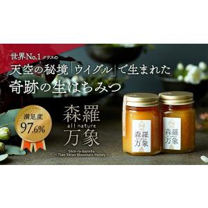 森羅万象 はちみつ 600g 非加熱 完熟の詳細画像1