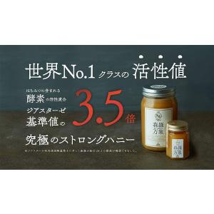 森羅万象 はちみつ 600g 非加熱 完熟の詳細画像2