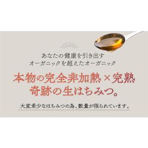 森羅万象 はちみつ 600g 非加熱 完熟の詳細画像3