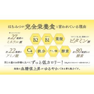 森羅万象 はちみつ 600g 非加熱 完熟の詳細画像4
