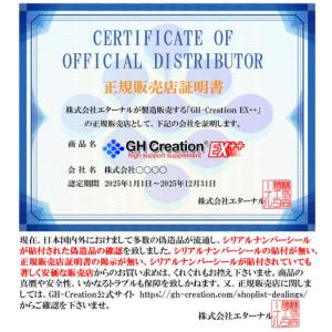 GH Creation EX++ ジーエイチク...の詳細画像2