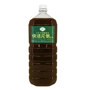 紅豆杉 雲南紅豆杉 5g×5包 入浴剤 無着色 無香料 国家一級植物