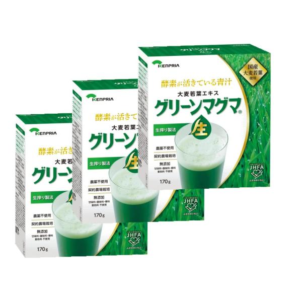 グリーンマグマ 170g 国産 大麦若葉エキス ３個セット 青汁