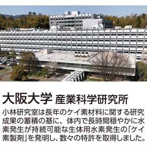 ダブルエイチラボ HH LABO 30粒 レナ...の詳細画像1