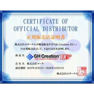 GH Creation EX++ ジーエイチク...の詳細画像1