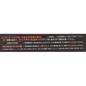 サンカラーマックス レディースヘアカラーリング...の詳細画像1