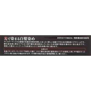 サンカラーマックス レディースヘアカラーリング...の詳細画像2