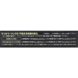 サンカラーマックス ブラック メンズ ヘアカラ...の詳細画像1