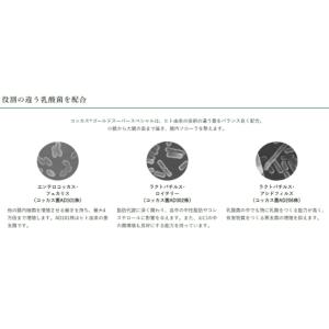 新 コッカス・ゴールドスーパー スペシャル 1...の詳細画像3