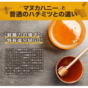 マヌカハニー MGO585+ 250g plu...の詳細画像3