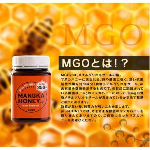 マヌカハニー MGO585+ 250g plu...の詳細画像4