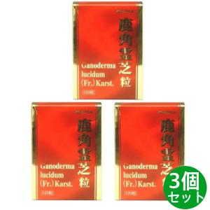 龍命丸 VALOS リュウメイガン ヴァロス 120粒 ルンブルクス末 食用赤