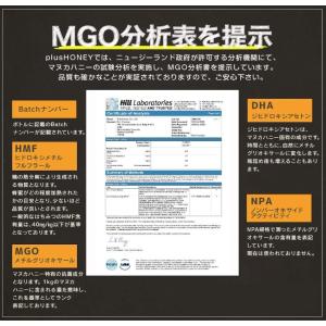 マヌカハニー MGO255+ 250g plu...の詳細画像5