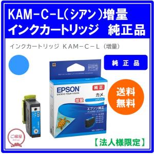 imagePROGRAF 【純正品 10色セット】 Canon／キヤノン PFI-G1 シリーズ