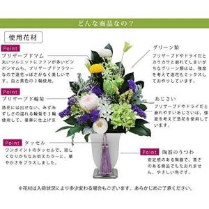 エーデルワイス 花の商品一覧 通販 Yahoo ショッピング