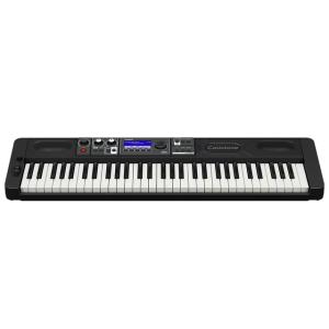 CASIO CT-S500  シンセサイザー [宅配便]【区分F】