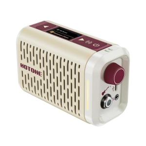 【国内正規品】HOTONE ホットトーン PULZE MINI Bluetoothモデリングアンプ ...