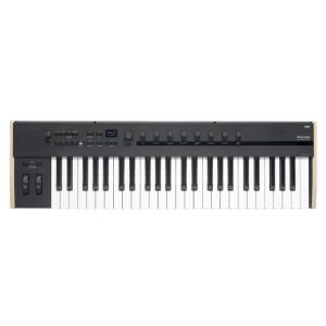 数量限定特価 Native Instruments NI KOMPLETE KONTROL A25 MIDI