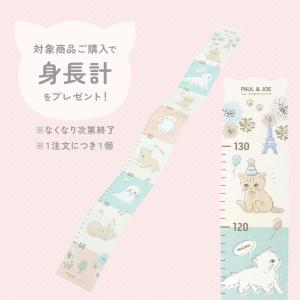 ポールアンドジョー ポール&ジョー ア...の詳細画像1
