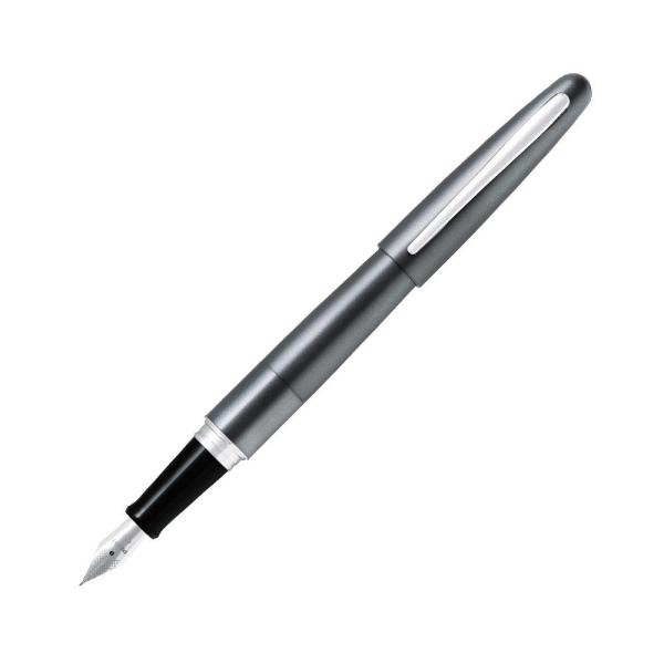 コクーン万年筆 F 細字 万年筆 キャップ式 専用ケース入り 日本製 高級 ギフト プレゼント パイ...