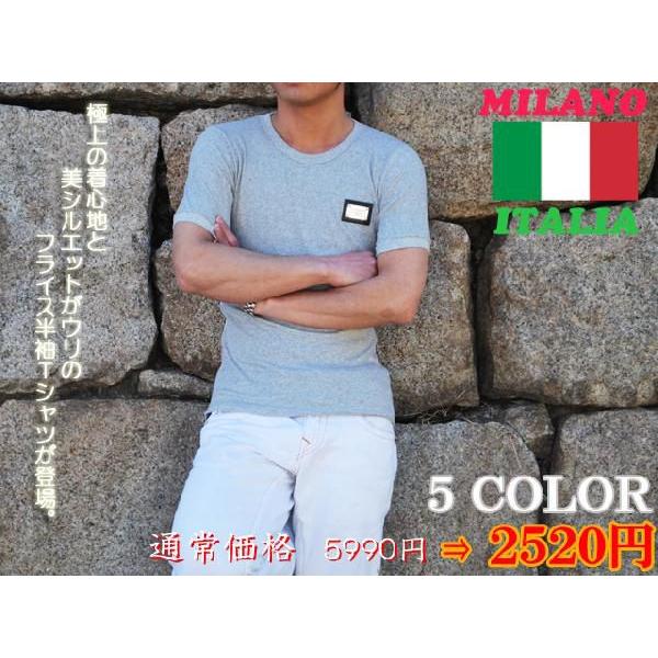 BREED Tシャツ メンズ 半袖 半袖Tシャツ プレート 細身 スリム ライン トリコロール イタ...