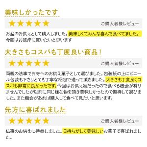 お供え専用 お菓子 お彼岸 お供え物 こがね芋...の詳細画像2