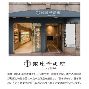 お中元 お菓子 夏ギフト 銀座千疋屋 銀座ゼリ...の詳細画像3
