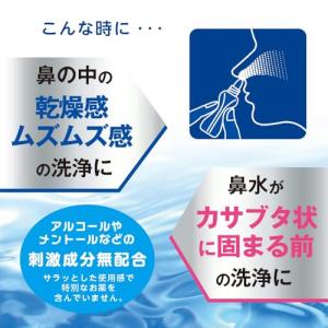 日本臓器製薬ドライノーズスプレー 20mlの詳細画像1