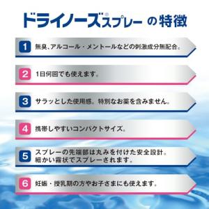 日本臓器製薬ドライノーズスプレー 20mlの詳細画像2