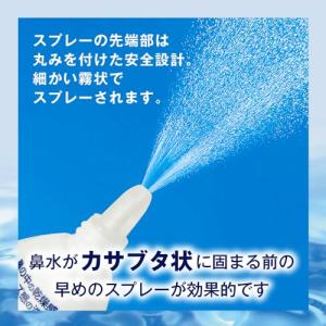 日本臓器製薬ドライノーズスプレー 20mlの詳細画像4