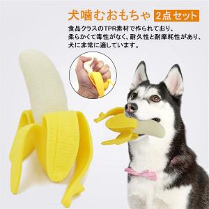 犬 おもちゃ バナナの商品一覧 通販 Yahoo ショッピング