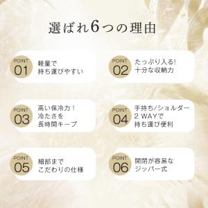 保冷バッグ 保温バッグ クーラーバッグ 22L...の詳細画像2