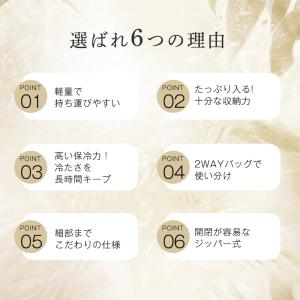保冷バッグ クーラーバッグ 保温バッグ 大容量...の詳細画像2