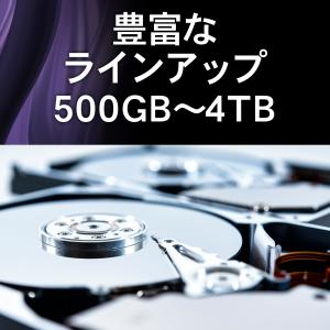 HDD ハードディスク HDD内蔵 ハードディ...の詳細画像4